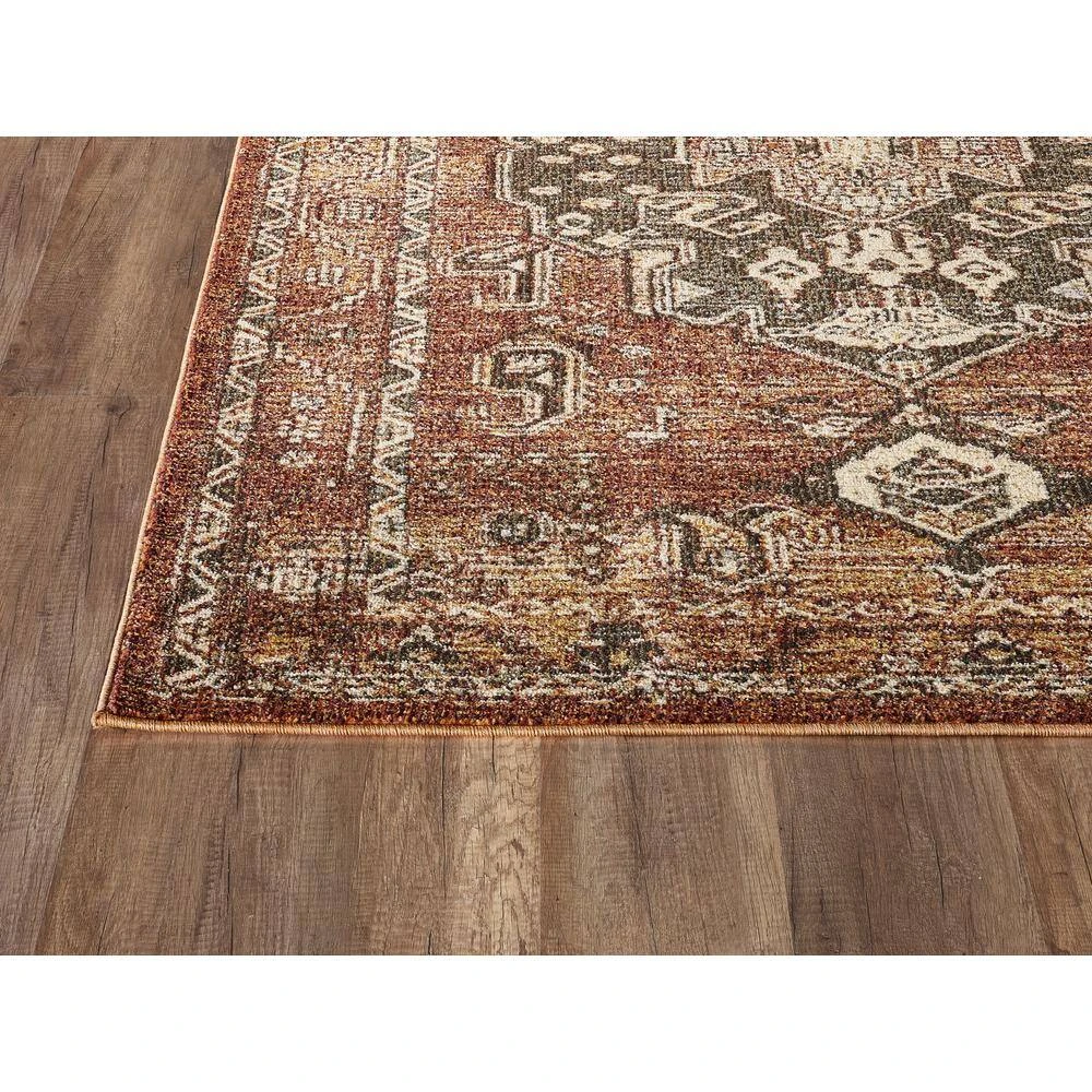 Mesa Orange 4 ft. x 6 ft. Distressed Polypropylene Area Rug by Abani - Image 2